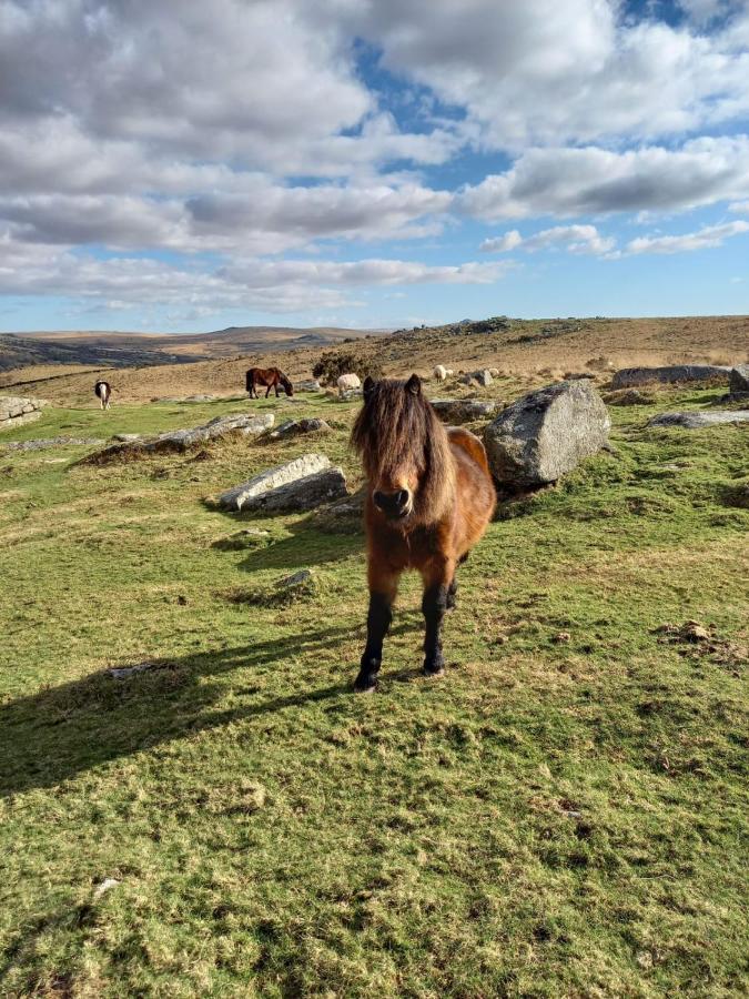 Dartmoor Inn Princetown Exteriér fotografie